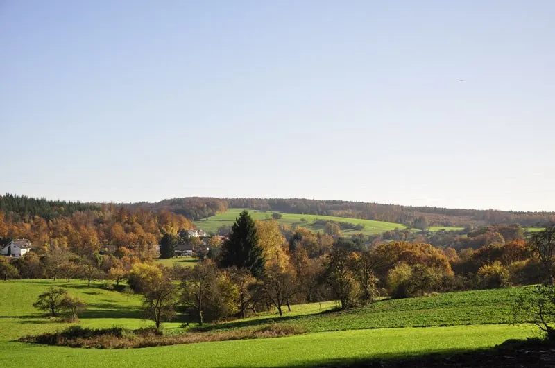 Wiesen und Waldstücke in hügeliger Landschaft