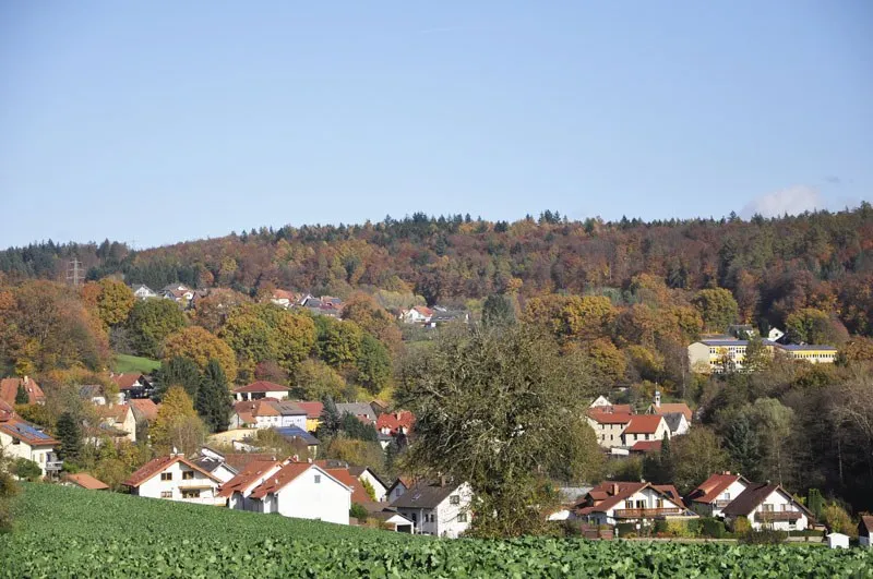 Blick über Häuser und Felder auf einen bewaldeten Hang