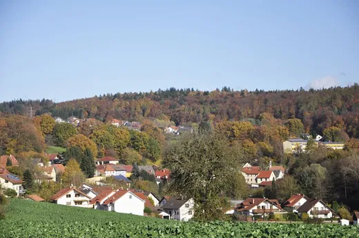 Blick über Häuser und Felder auf einen bewaldeten Hang